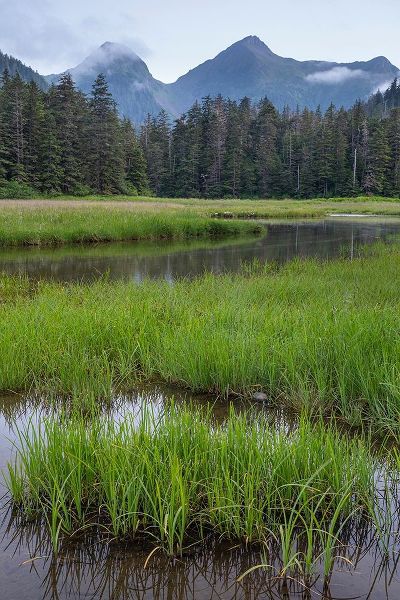 Alaska-Sitka Meadow at high tide in Tongass National Forest
